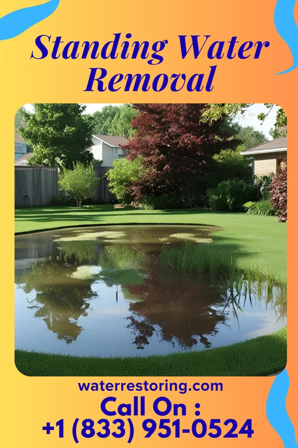 Standing Water Removal in Spindale, NC